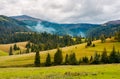 Overcast autumn day in mountains Royalty Free Stock Photo