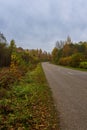 Overcast autumn day on the road Royalty Free Stock Photo