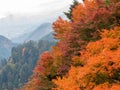 Overcast autumn landsacpe at Mount Hiei Royalty Free Stock Photo