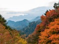 Overcast autumn landsacpe at Mount Hiei Royalty Free Stock Photo