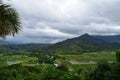 Overcast Hanalei Valley Taro fields in Kauai Hawaii Royalty Free Stock Photo