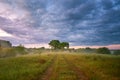 Overcast rainy clouds. Summer misty sunrise on meadow Royalty Free Stock Photo