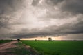 Overcast Sky Above Rice Field, Rainy Season