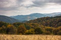 Overcast sky over forest in autumn colors, mountain Goc Royalty Free Stock Photo