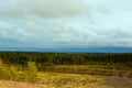 Overcast sky over the forest