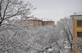 overcast, snowfall in the old city of Moscow