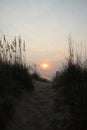 overcast sunrise over Atlantic Ocean (Duck, North Carolina) Outerbanks from path to beach (wees around Royalty Free Stock Photo