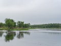 Overcast view of the French Lake Trail landscape