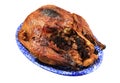 Overcooked turkey Royalty Free Stock Photo