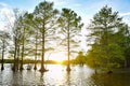 Overexposed Sunset on the Water with Trees in the Foreground Royalty Free Stock Photo