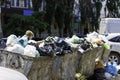 overfilled public trash bins at summer day in large city, close-up Royalty Free Stock Photo