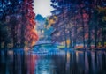 overfiltered artistic autumn mist with trees on water`s edge Royalty Free Stock Photo