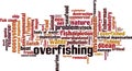 Overfishing word cloud Royalty Free Stock Photo