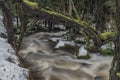 Overflow river Bystrice in Krusne mountains in winter morning