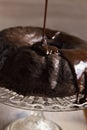 Overflowing Bundt Cake With Chocolate Dressing Royalty Free Stock Photo
