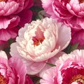 Overflowing Close-Up Peony Flowers Pattern Royalty Free Stock Photo