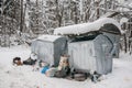 Overflowing metal containers with garbage.scattered debris,pollution of the environment