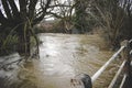 Overflowing river, bursting bank and covering tree.