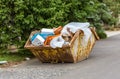 Overflowing rusty metal container for construction waste with cardboard boxes and plastic trash