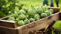 Overflowing trencher with delicate artichokes