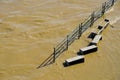 Overflowing in Turin - Italy