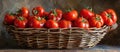 Overflowing Wicker Basket of Red Tomatoes Royalty Free Stock Photo