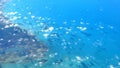 Overflying beautiful Caribbean sea on a jet airplane