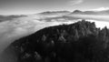 Overflying a mountain with fir trees, discovering a sea of clouds and other peaks. Beautiful black and white scenery with a latera