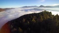 Overflying a mountain with fir trees, discovering a sea of clouds. Sunlight comes from the east at the right of the image.