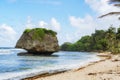 Overgreen free standing rock  Beach of Barbados  Caribbean Sea Royalty Free Stock Photo