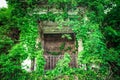 Overgrown abandoned building with door