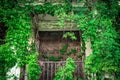 Overgrown abandoned building with door