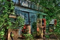 Overgrown Abandoned Garage with Derelict Gas Pumps