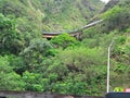 Overgrown Abandoned Railroad above Honolulu