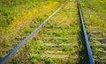 Overgrown abandoned railroad track. Railroad abstract conceptual photo. Royalty Free Stock Photo