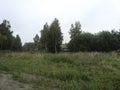 An overgrown abandoned village. Summer. Uncut grass. Unkempt rural view