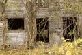 Overgrown Barn Front