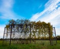 Overgrown baseball backstop and blue sky and clouds