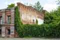 Overgrown Brick Wall and Leaves for Backgrounds. Brick Wall and Ivy. Green plant overgrown on old wall background Royalty Free Stock Photo