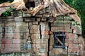 Overgrown buildings at Angkor Wat Cambodia