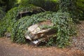 Overgrown car, large old limousine, good symbol for rising electric vehicle popularity and environment protection Royalty Free Stock Photo