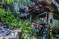 Overgrown cars on an junkyard Royalty Free Stock Photo