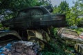 Overgrown cars Royalty Free Stock Photo