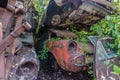 overgrown cars on a storage space Royalty Free Stock Photo