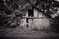 Overgrown Country Barn Royalty Free Stock Photo