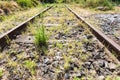 Overgrown country railroad in Sicily