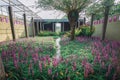 Overgrown decorative brook in the garden surrounded by flowering plants and a willow