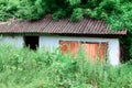 Overgrown deserted home