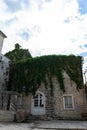 overgrown facade in old town. A live hedge on the front of the house. Ancient home covered by green leaves Royalty Free Stock Photo