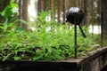 Overgrown fireplace with teapot deep in the Swedish forests Royalty Free Stock Photo